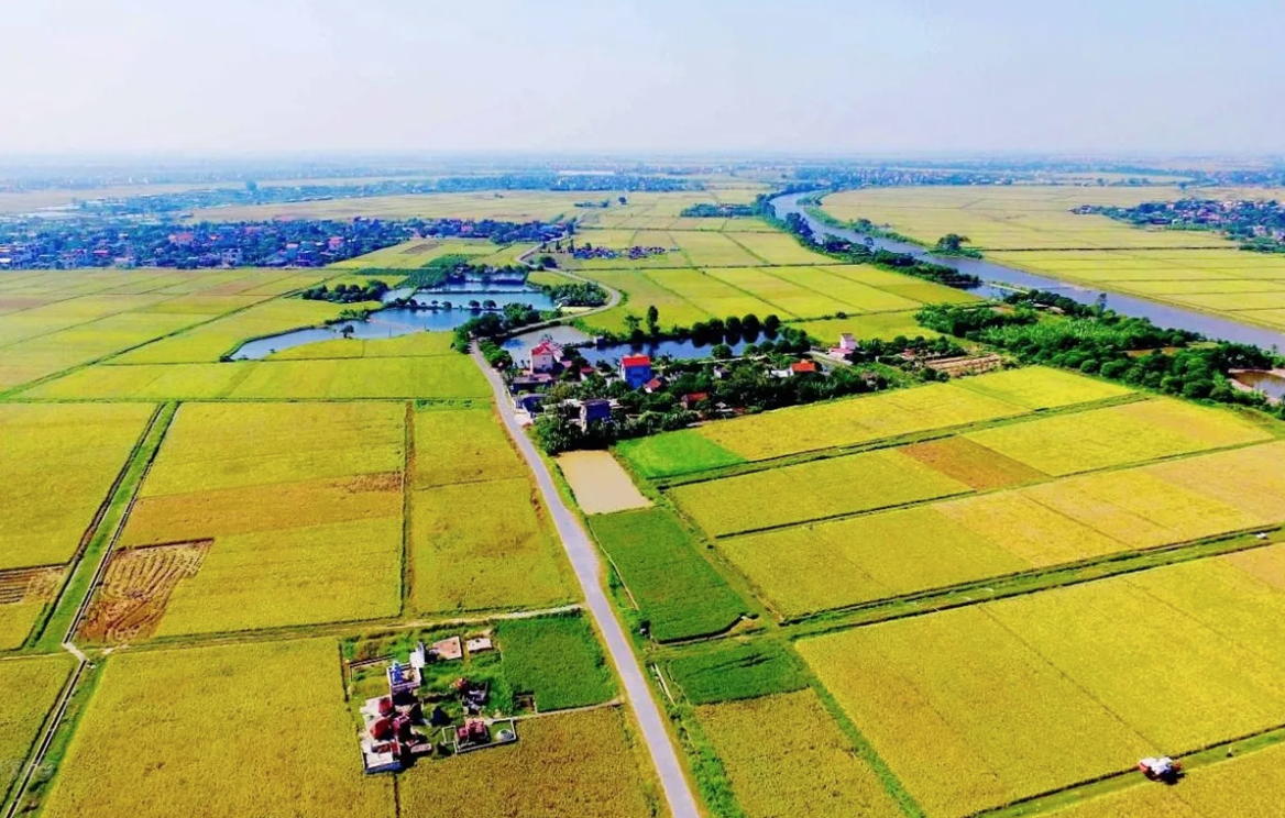 9 thay đổi lớn tại dự thảo Luật Đất đai mới nhất doanh nghiệp cần chú ý